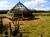 The framework for a reconstructed roundhouse - Cholderton Rare Breeds Farm, Hampshire